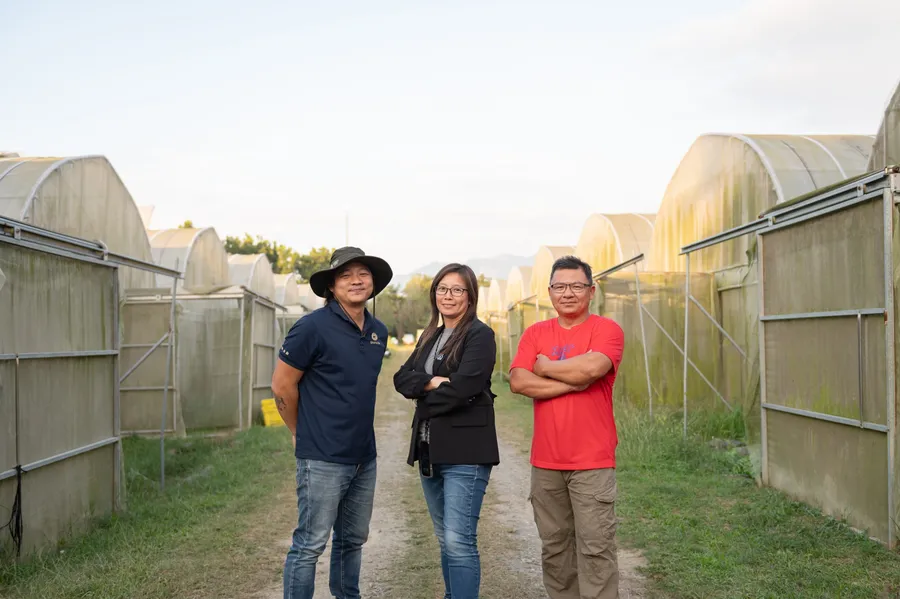 目標成為台灣最大玫瑰基地：杉恆壹樹導入AIoT智慧農業，農田管理效率大增一倍