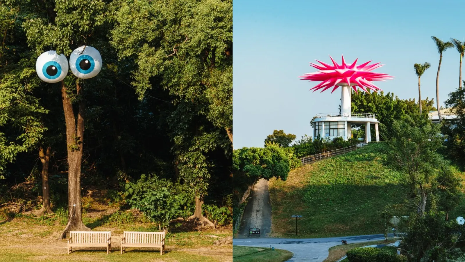 高雄果嶺自然公園：免費開放六大亮點等你來探索