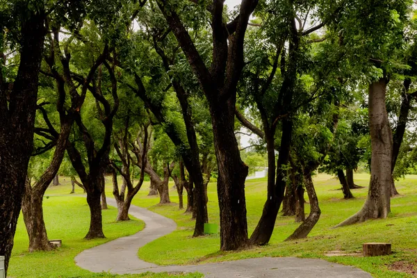高雄果嶺自然公園