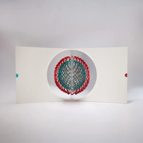 OK Go《And the Adjacent Possible》唱片包裝設計 (4).jpg