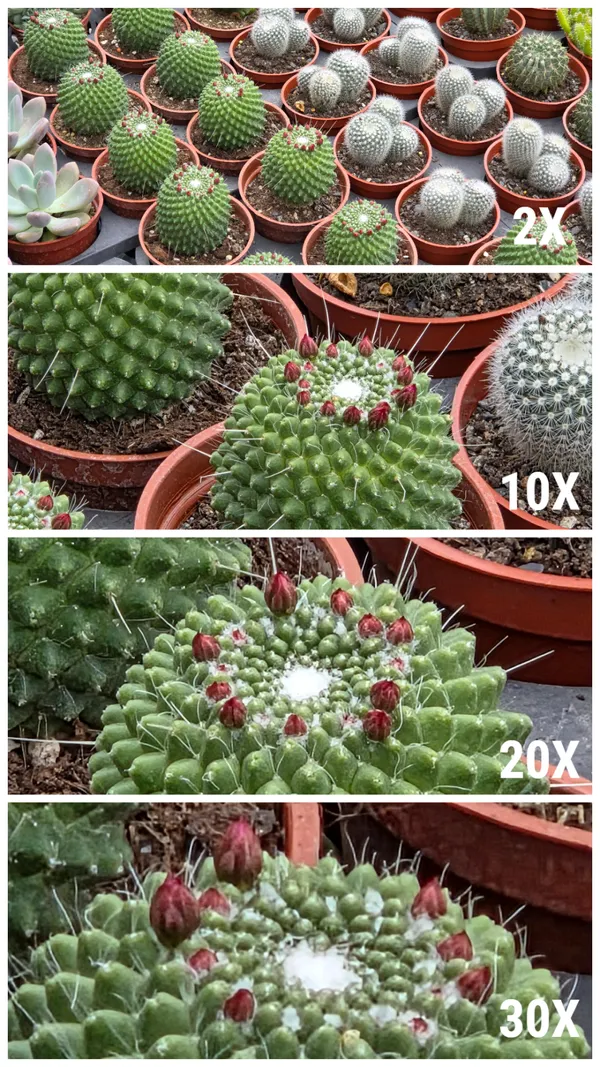 #4 三星三摺機Galaxy Z TriFold評測照片