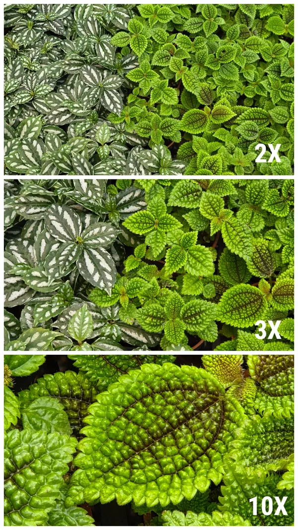 #3 三星三摺機Galaxy Z TriFold評測照片