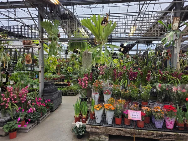 #5 三星三摺機Galaxy Z TriFold評測照片