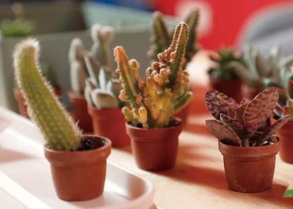 #1 誠十創意手作工作坊創辦人陳祐誠