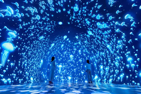 #5 橫濱全新沉浸式設施「Wonderia」