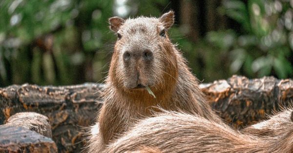  受不了部屬回覆訊息慢吞吞？不想成為雷包主管，請避開這 6 大管理盲點