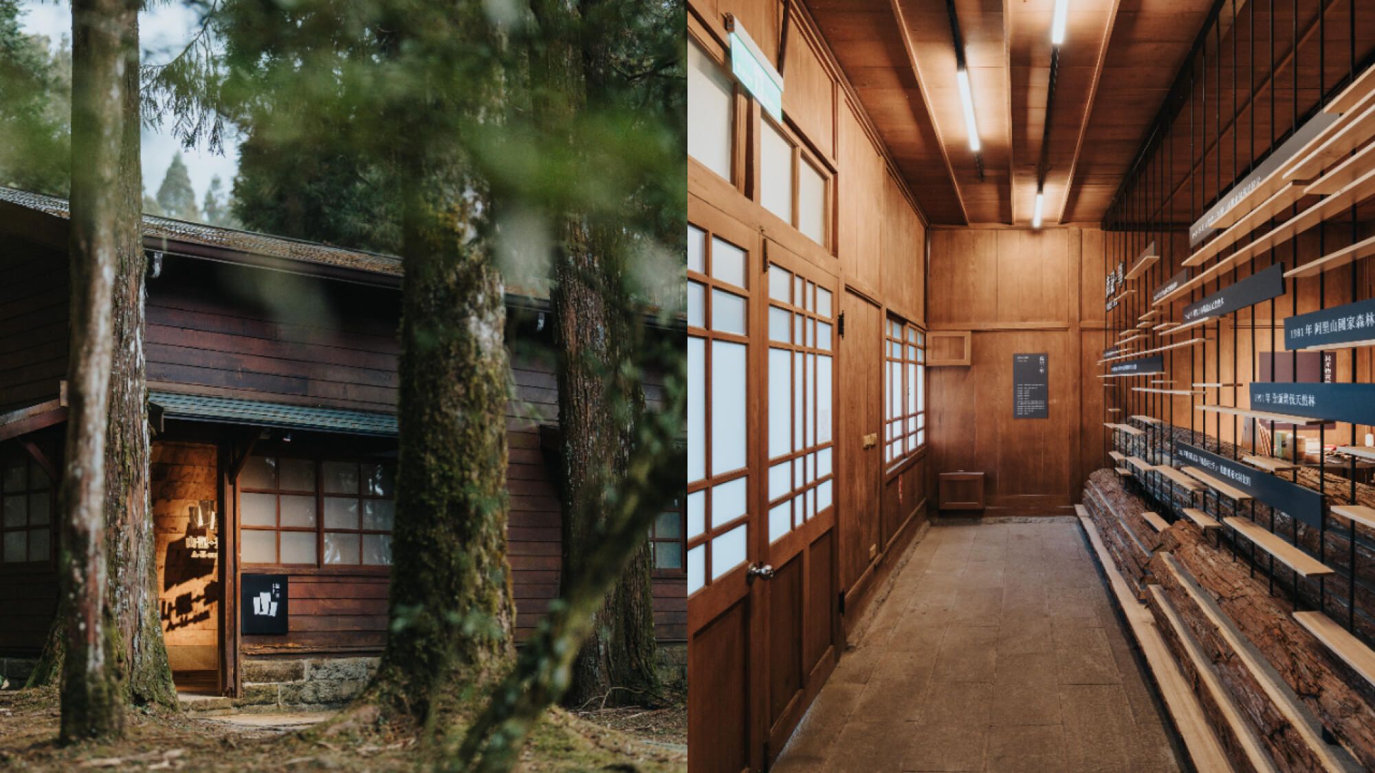 嘉義藝文新地標！阿里山林業故事館、山野創作館正式啟用：工二建築以