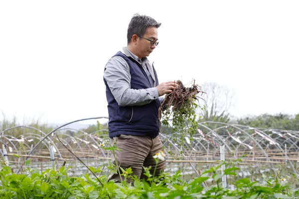 BN370_植物診療師