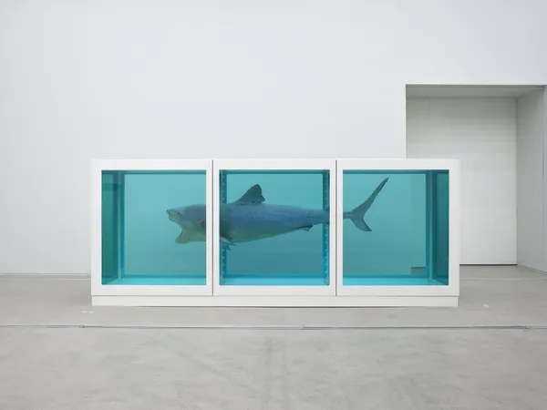 #2 Damien Hirst 首爾展覽空間