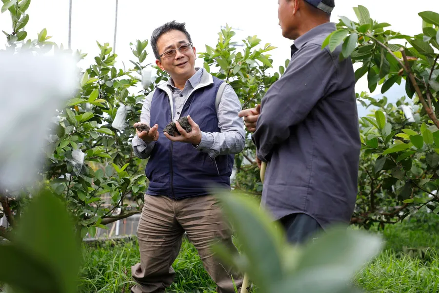 全台僅643人！首屆植物診療師專訪：我如何從1根拇指寬的土層，找出植物死因？