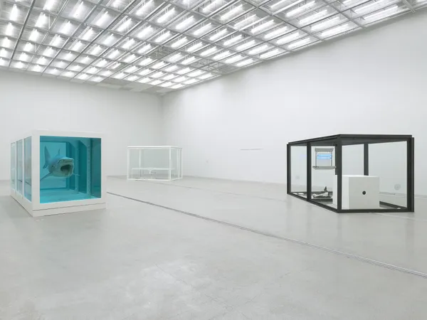 #1 Damien Hirst 首爾展覽空間