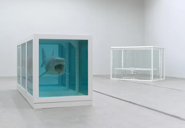 #3 Damien Hirst 首爾展覽空間