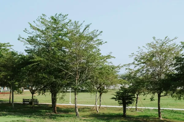 屏東公園