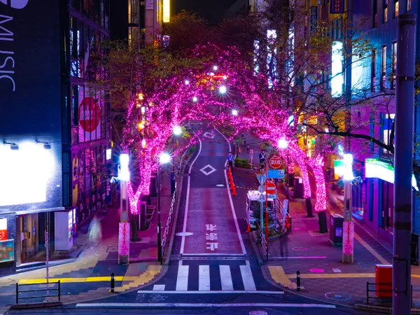 #3 東京首屆國際文化藝術節「ARTE TOKYO」