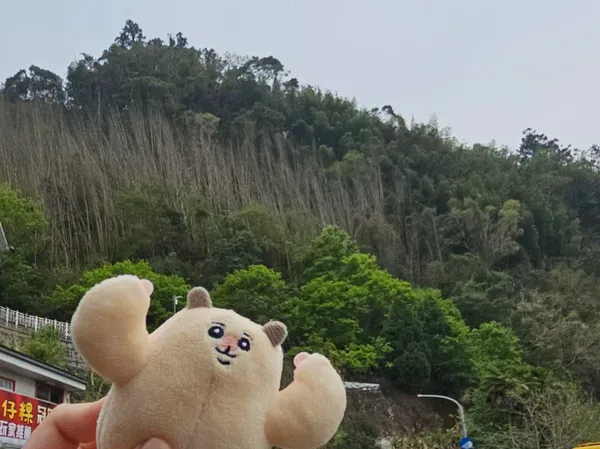 使用圖