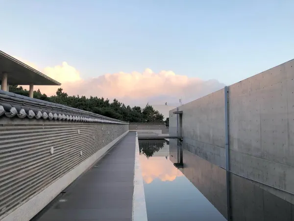 #3 本態博物館