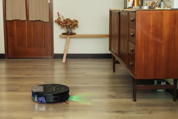 Dyson Spot+Scrub™