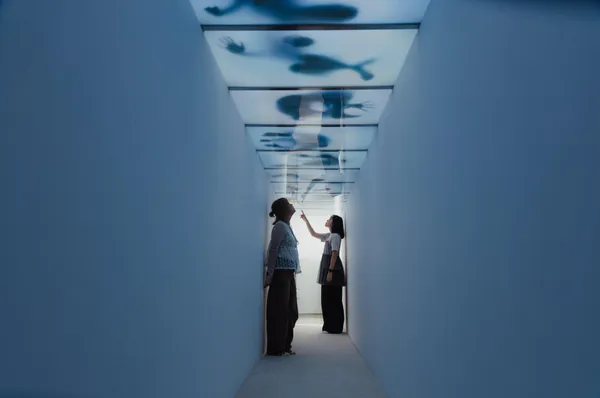 #1 駁二新展「還是先躺一下再說？」