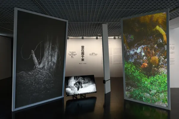 #5 舊文更新｜《雲在兩千米》VR 展