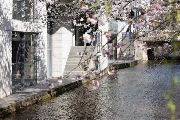 #1 京都建築中心