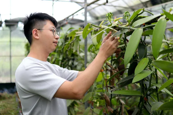 PLAN．T 植策團隊