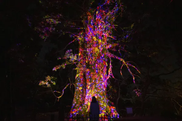 #1 teamLab 福岡城跡光之祭