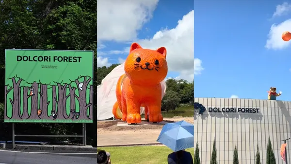 濟州島必訪！Dolcori Forest 開幕：16 米巨型貓咪駐足，主題樂園串聯藝文展覽、咖啡廳