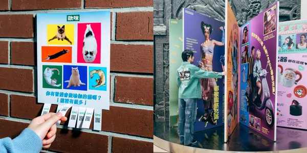 等向_圖片2
