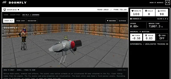Doomfly.png