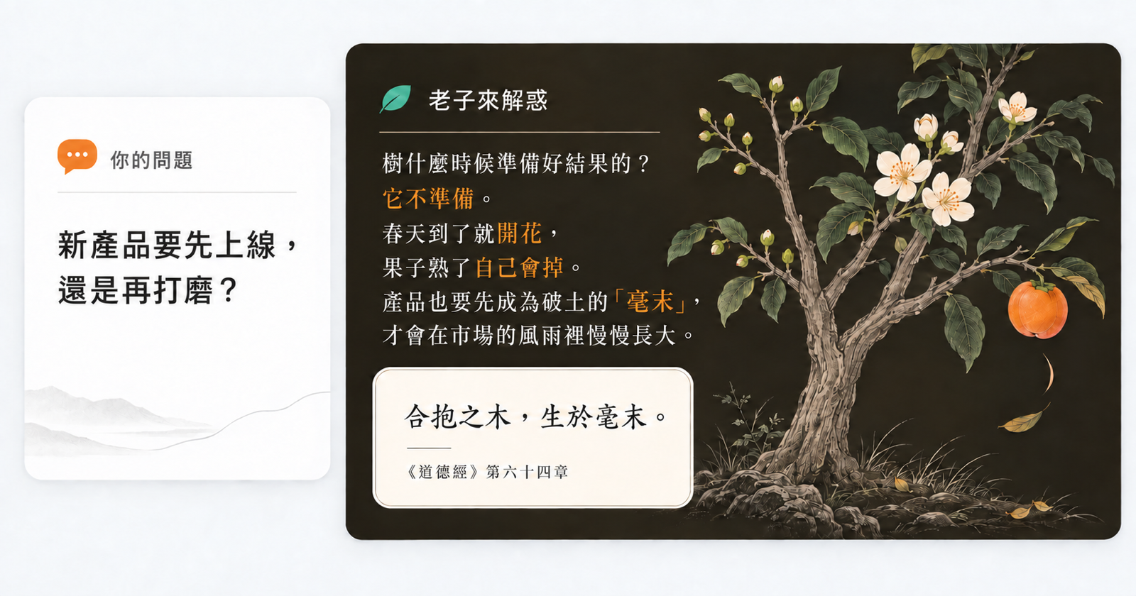 新產品上線問題與老子來解惑的樹木故事回應