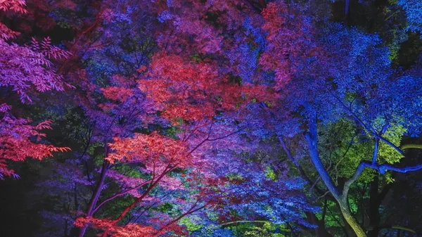 #6 teamLab 福岡城跡光之祭