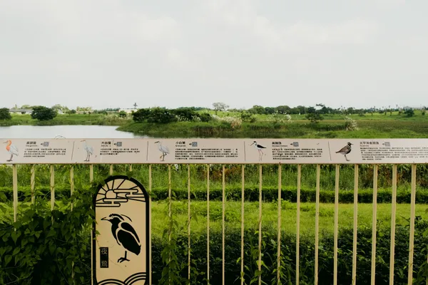 #4 屏東滯洪池