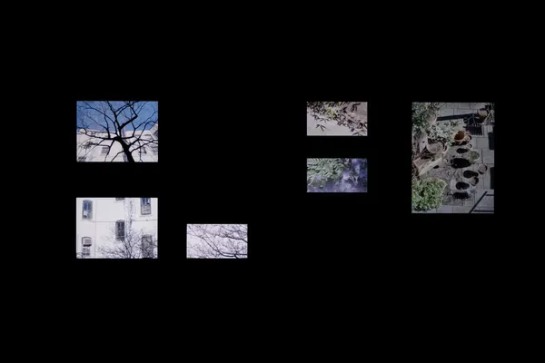 #9 坂本龍一大型回顧展《觀音．聽時》編輯開箱