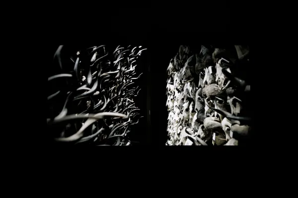 #0 坂本龍一大型回顧展《觀音．聽時》編輯開箱