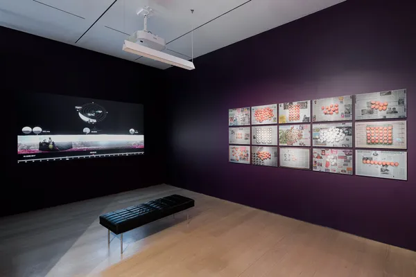 #4 Full Disclosure 展覽
