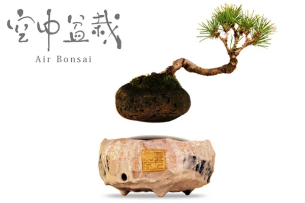 Air Bonsai