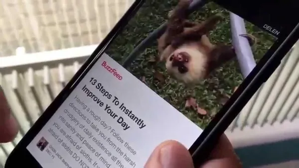 instant article