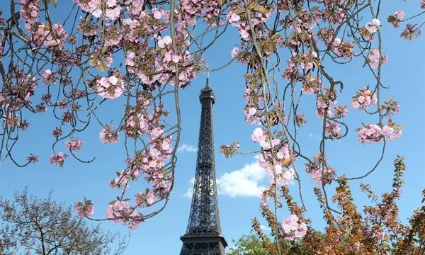 Paris.jpg