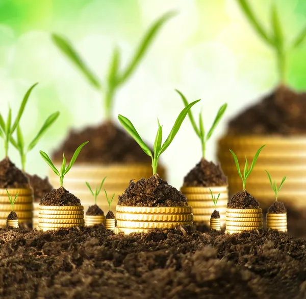 investment shutterstock